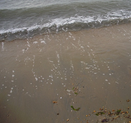 [P41012523.jpg]