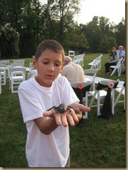 Clay frog