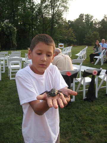 [Clay frog[2].jpg]