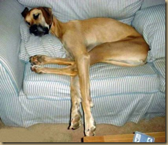 tired8