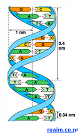 adn_alien3 adn_alien3
