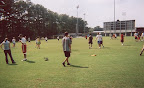 ultimate frisbee