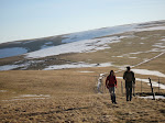 http://lh5.ggpht.com/_Vkwoux6RVCU/R8RWqcuHThI/AAAAAAAAB04/zLNEgk9tOds/Vosgesrando%20%28260%29.JPG