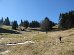 http://lh5.ggpht.com/_Vkwoux6RVCU/R8RXpcuHT6I/AAAAAAAAB4I/edzNIjsTCBE/Vosgesrando%20%28313%29.JPG
