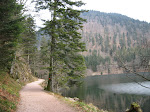 http://lh5.ggpht.com/_Vkwoux6RVCU/R8RYwcuHUVI/AAAAAAAAB7o/ckDnCBEKR10/Vosgesrando%20%28359%29.JPG