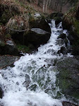 http://lh5.ggpht.com/_Vkwoux6RVCU/R8a1V8uHU9I/AAAAAAAACDs/8fuXb2RGVIs/R4_530.JPG