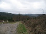 http://lh5.ggpht.com/_Vkwoux6RVCU/R9ZEW4BnUAI/AAAAAAAACLk/Q8BHfVoR3mM/Nassogne%20%28101%29.JPG
