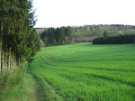 http://lh5.ggpht.com/_Vkwoux6RVCU/SB32Bo0dB8I/AAAAAAAADU0/NgI4tHg_Bfk/Sure2008_263.JPG