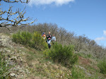 http://lh5.ggpht.com/_Vkwoux6RVCU/SB3rU40c_EI/AAAAAAAAC80/5o70CX1Wnog/Sure2008_044.JPG