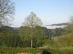 http://lh5.ggpht.com/_Vkwoux6RVCU/SB3xCo0dAoI/AAAAAAAADJ0/cO9x1zOQDnY/Sure2008_171.JPG