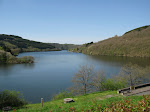 http://lh5.ggpht.com/_Vkwoux6RVCU/SB3xoo0dA2I/AAAAAAAADLo/JvvAhwZK4LI/Sure2008_186.JPG