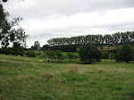 http://lh5.ggpht.com/_Vkwoux6RVCU/SKCFFgren4I/AAAAAAAAEuI/JhYdXyqXCiU/Mont_017.JPG