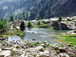 http://lh5.ggpht.com/_Vkwoux6RVCU/SNyb3BecWaI/AAAAAAAAFSA/IQh_65GTzMk/MercantourJ3_036.JPG