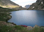 http://lh5.ggpht.com/_Vkwoux6RVCU/SNyc9BfcIeI/AAAAAAAAFUg/gWSl2DXvr8E/MercantourJ1_054.JPG
