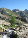 http://lh5.ggpht.com/_Vkwoux6RVCU/SNydN3vFRDI/AAAAAAAAFVQ/adR-Rt0peQA/MercantourJ2_008.JPG