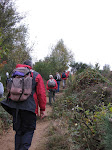 http://lh5.ggpht.com/_Vkwoux6RVCU/SQWlmf7KIdI/AAAAAAAAF80/iMFBZ0nQH6I/CampineKikmolen%20070.jpg
