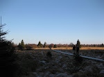 http://lh5.ggpht.com/_Vkwoux6RVCU/SVo2LuCE6rI/AAAAAAAAIG0/CVRDXUt_H-0/EupenBarrage%20042.jpg