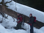 http://lh5.ggpht.com/_Vkwoux6RVCU/SYR44VPbuzI/AAAAAAAAI-0/vzvjgvq7ni0/Photos%20Vosges%202009%20091.jpg