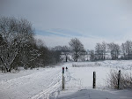 http://lh5.ggpht.com/_Vkwoux6RVCU/SZhbdawTN2I/AAAAAAAAJQk/cVu2tKFj4Z4/SkidefondElsenbron%20009.jpg