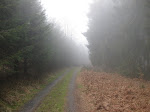 http://lh5.ggpht.com/_Vkwoux6RVCU/Scd_NZ6YZXI/AAAAAAAAJsw/CraepJqJfwg/Manhay%20005.jpg