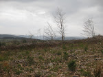 http://lh5.ggpht.com/_Vkwoux6RVCU/Scd_ZY4wzgI/AAAAAAAAJtY/wvGs47gV6O0/Manhay%20011.jpg