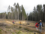 http://lh5.ggpht.com/_Vkwoux6RVCU/Scd_p-pSVYI/AAAAAAAAJuY/0zFfSdd5Hb0/Manhay%20026.jpg