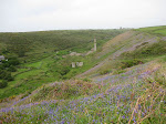 http://lh5.ggpht.com/_Vkwoux6RVCU/Sh7Ka7AHDEI/AAAAAAAAKek/xdSi0_FWOXw/Cornwall%20356.jpg