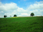http://lh5.ggpht.com/_Vkwoux6RVCU/SiO-U-fmOdI/AAAAAAAAKfw/WQLzRXFXZpk/Nettine%20%28101%29.JPG
