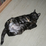 unser Minizoo