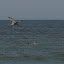 Ostsee Tagesausflug am 07.August 2007 &ndash; 