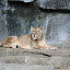 Tierpark Berlin am 23. August 2007 &ndash; 