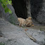 Tierpark Berlin am 23. August 2007 &ndash; 