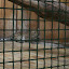 Tierpark Berlin am 23. August 2007 &ndash; 