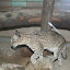 Tierpark Berlin am 23. August 2007 &ndash; 