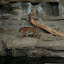 Tierpark Berlin am 23. August 2007 &ndash; 