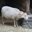 Tierpark Berlin am 23. August 2007 &ndash; 