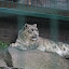 Tierpark Berlin am 23. August 2007 &ndash; 