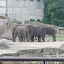 Tierpark Berlin am 23. August 2007 &ndash; 