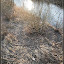 Odenbach zur Weihnachtszeit 2008 – Hühner am Glan Odenbach zur Weihnachtszeit 2008 – Hühner am Glan