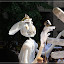 Karneval der Kulturen 2009 – Karneval der Kulturen 2009 –
