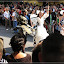 Karneval der Kulturen 2009 – Karneval der Kulturen 2009 –