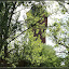 Lost Place Tour - Das letzte Paar &ndash; Wasserturm
