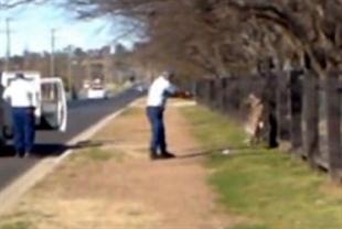 [Police shoot kangaroo[4].jpg]