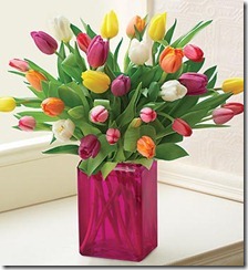 2011.05.06 - Tulips