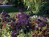 Display Gardens August 6