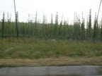 P9170616.JPG