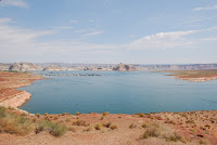 DSC_4443.JPG