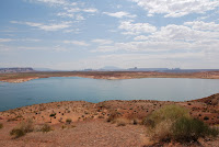 DSC_4444.JPG