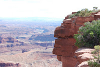 DSC_4879.JPG