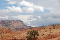 DSC_4931.JPG